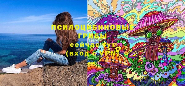 стафф Абинск