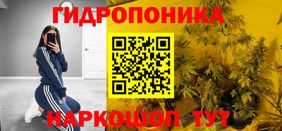 эйфоретик Обь