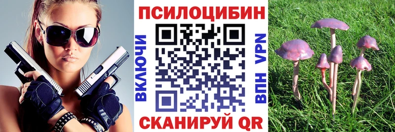 Псилоцибиновые грибы GOLDEN TEACHER  купить   Ялта 