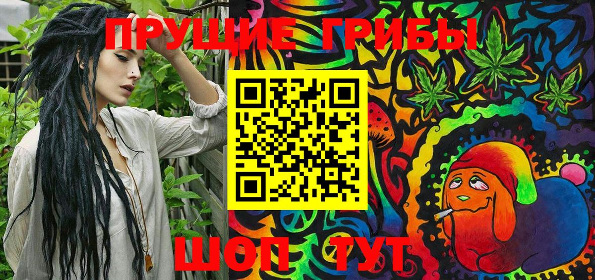 Галлюциногенные грибы Psilocybe Ялта