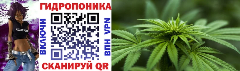 Бошки Шишки марихуана Ялта